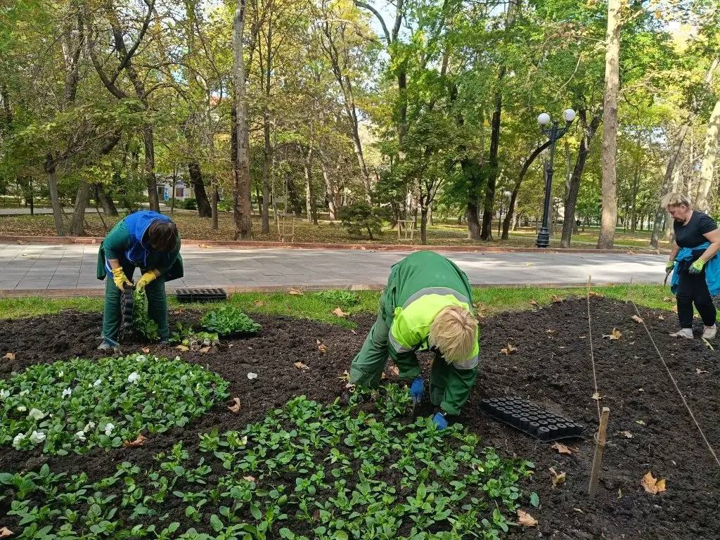 Андрей Кравченко: Экологическая стабильность и устойчивое развитие городской среды: продолжаем развивать зеленый каркас Новороссийска Андрей Кравченко: Экологическая стабильность и устойчивое развитие городской среды: продолжаем развивать зеленый каркас Новороссийска
