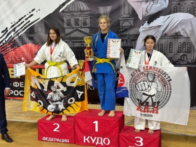 8–9 ноября в Ростове-на-Дону проходило Первенство Южного Федерального округа по кудо