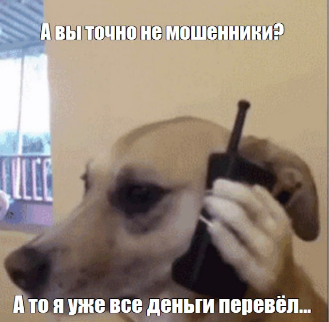 Более 5,5 млрд рублей кубанцы «инвестировали» в аферистов