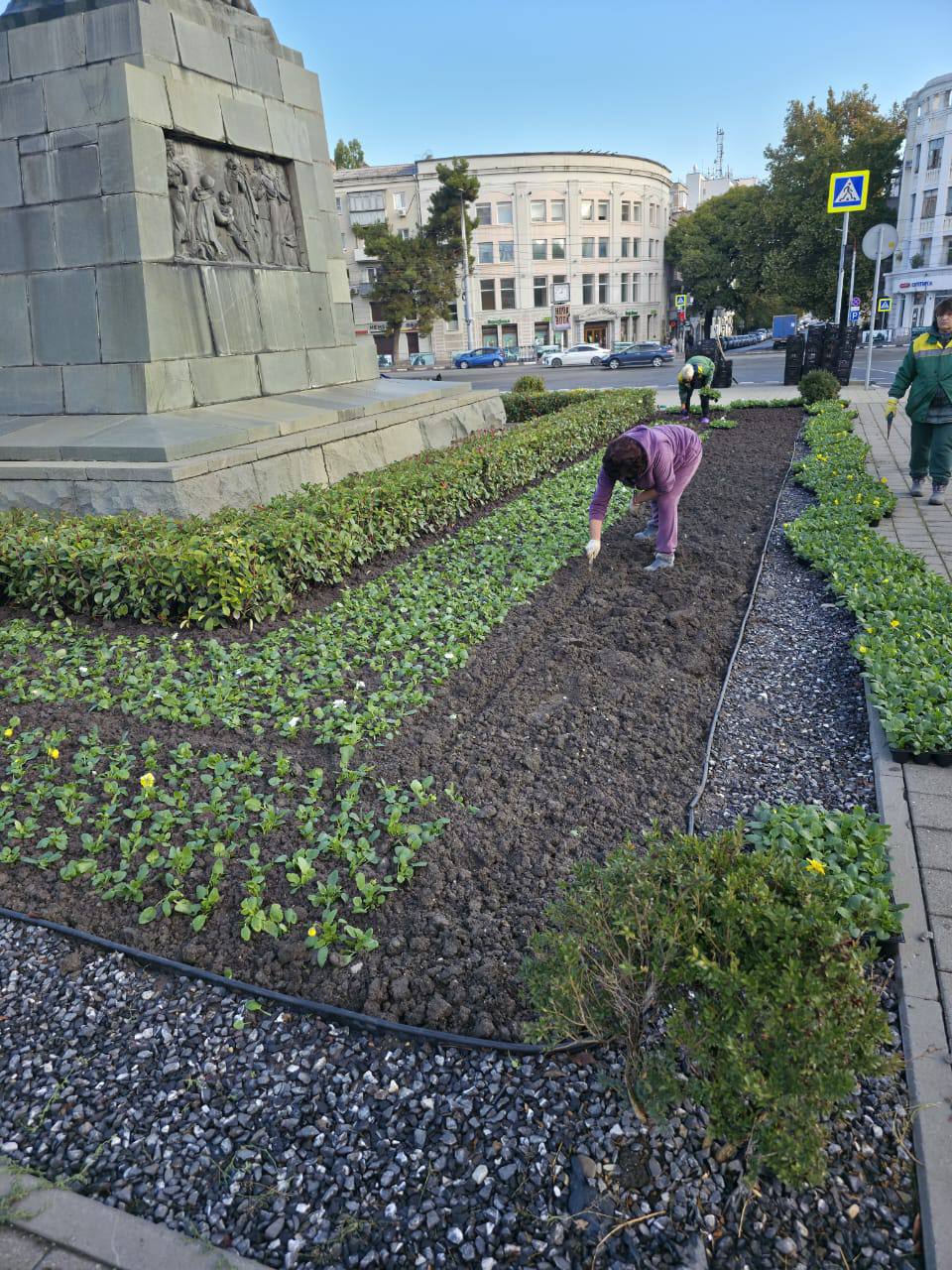 Андрей Кравченко: Экологическая стабильность и устойчивое развитие городской среды: продолжаем развивать зеленый каркас Новороссийска Андрей Кравченко: Экологическая стабильность и устойчивое развитие городской среды: продолжаем развивать зеленый каркас Новороссийска