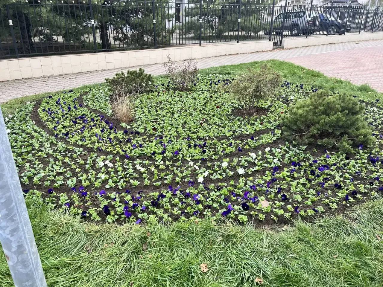 Андрей Кравченко: Экологическая стабильность и устойчивое развитие городской среды: продолжаем развивать зеленый каркас Новороссийска