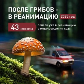 Три ребенка отравились грибами в Горячем Ключе за последние две недели
