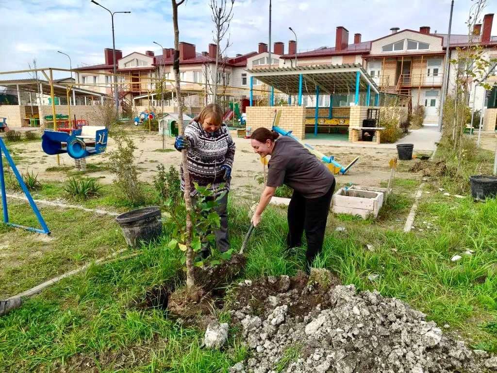 Андрей Кравченко: Экологическая стабильность и устойчивое развитие городской среды: продолжаем развивать зеленый каркас Новороссийска Андрей Кравченко: Экологическая стабильность и устойчивое развитие городской среды: продолжаем развивать зеленый каркас Новороссийска