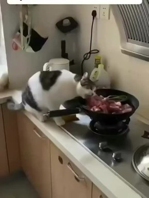 Милые воришки