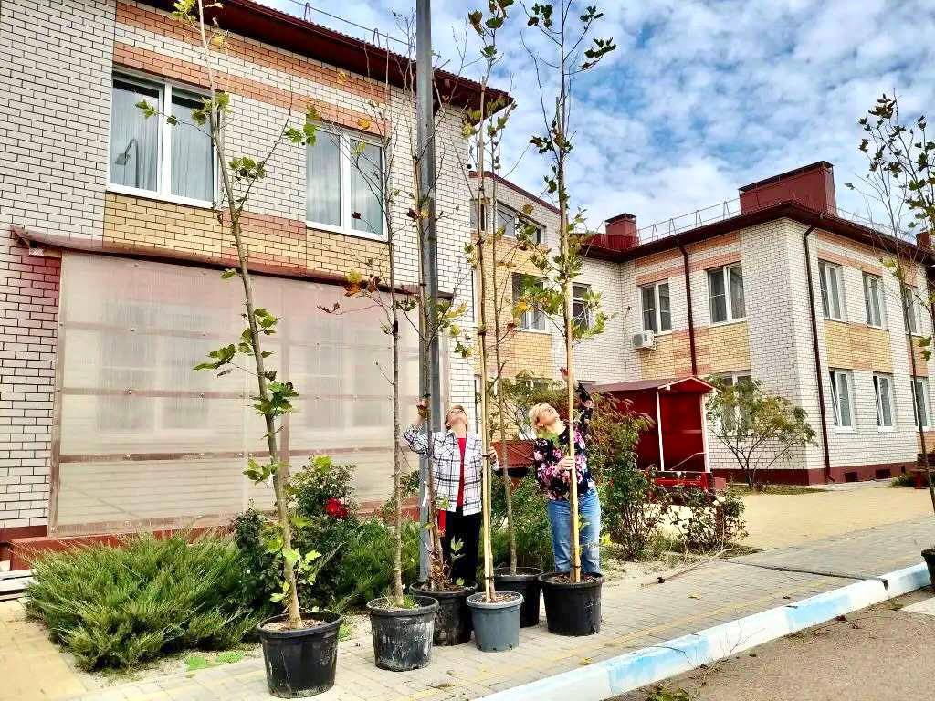 Андрей Кравченко: Экологическая стабильность и устойчивое развитие городской среды: продолжаем развивать зеленый каркас Новороссийска Андрей Кравченко: Экологическая стабильность и устойчивое развитие городской среды: продолжаем развивать зеленый каркас Новороссийска