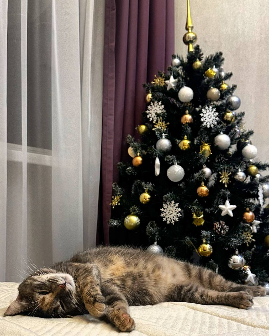 Друзья, тут внезапно вспомнили, что… до Нового года-то осталось совсем немного