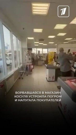 Ворвавшаяся в краснодарский супермаркет косуля устроила погром и напугала покупателей
