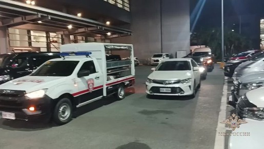 Ирина Волк: Из Республики Филиппины депортировали разыскиваемого по каналам Интерпола гражданина России