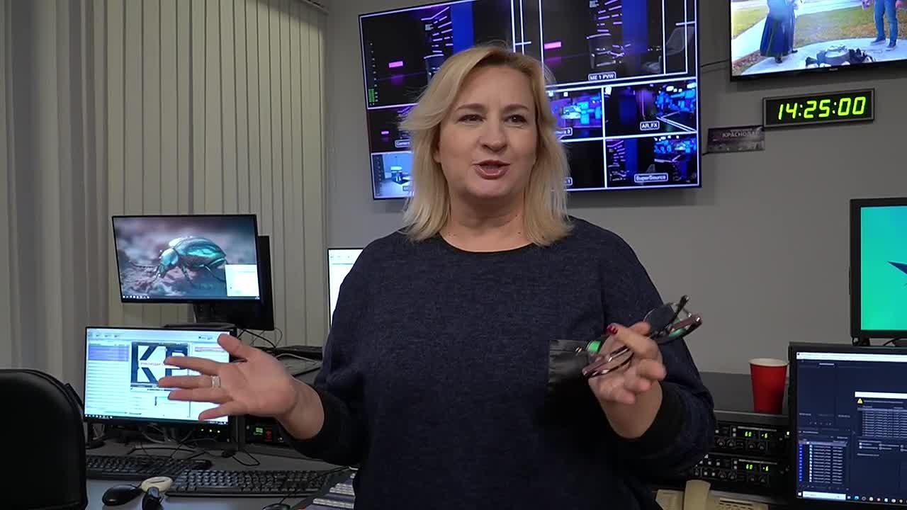 Возможность стать звездами эфира