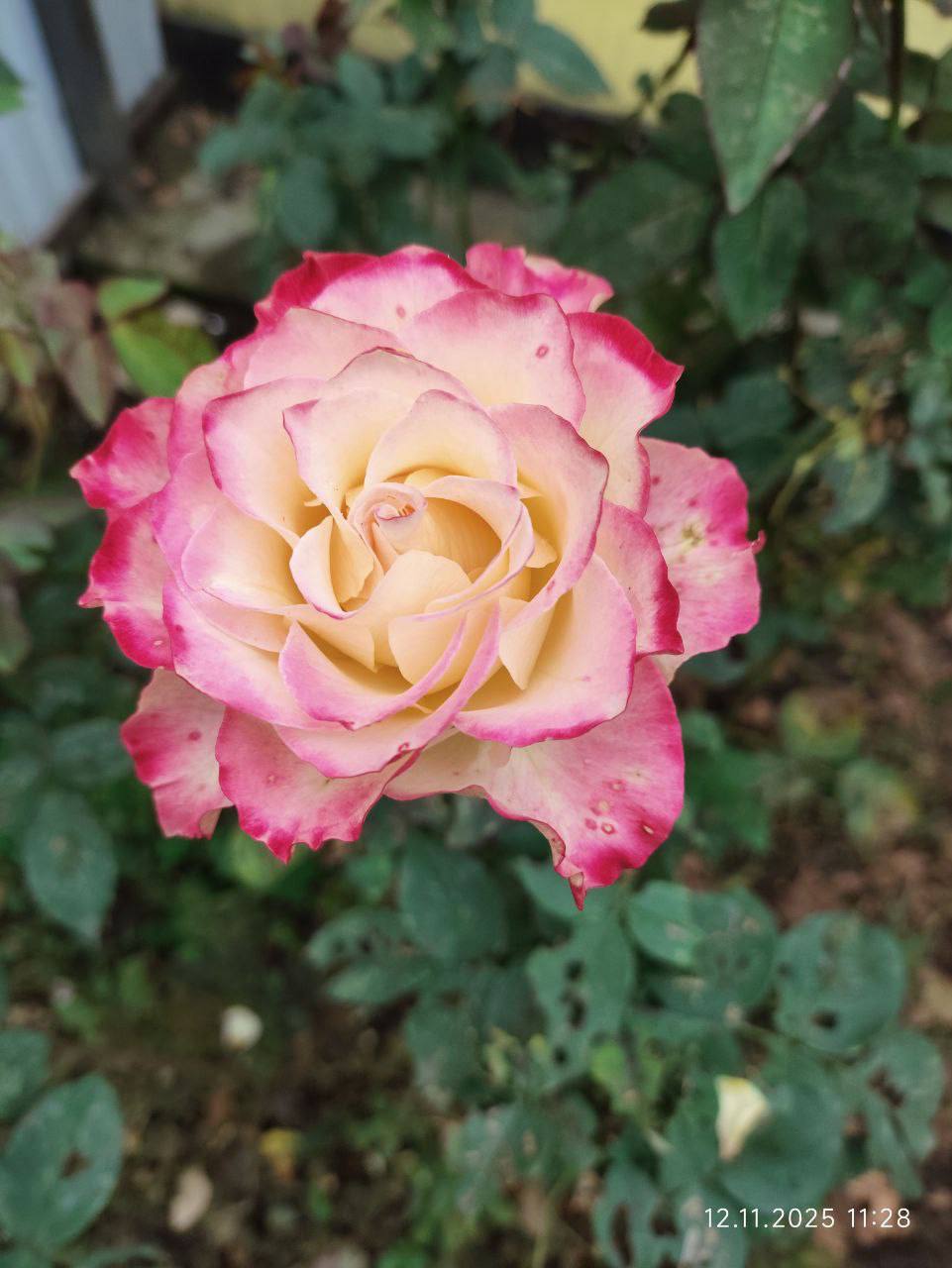 О погоде на 14 ноября. В Краснодарском крае облачно с прояснениями О погоде на 14 ноября. В Краснодарском крае облачно с прояснениями