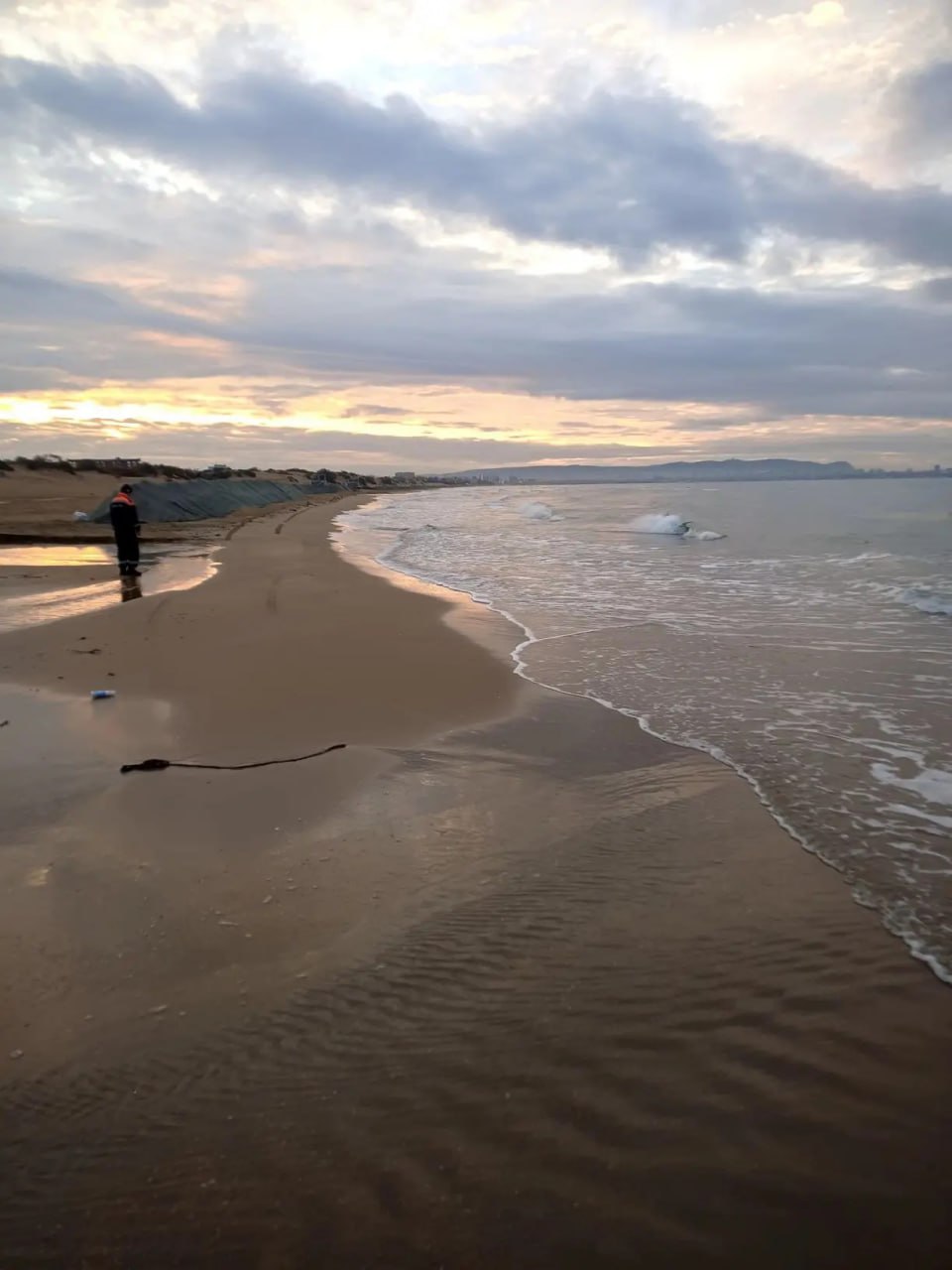 На пляжах Анапы и Темрюкского района с 6 по 13 ноября не зафиксировали новых выбросов мазута На пляжах Анапы и Темрюкского района с 6 по 13 ноября не зафиксировали новых выбросов мазута