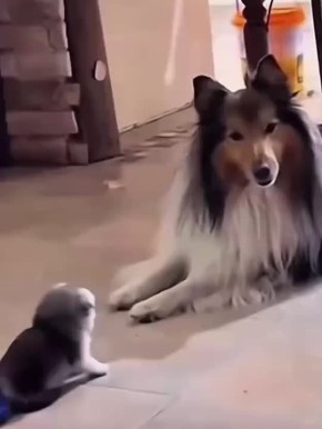 Погорячился немного