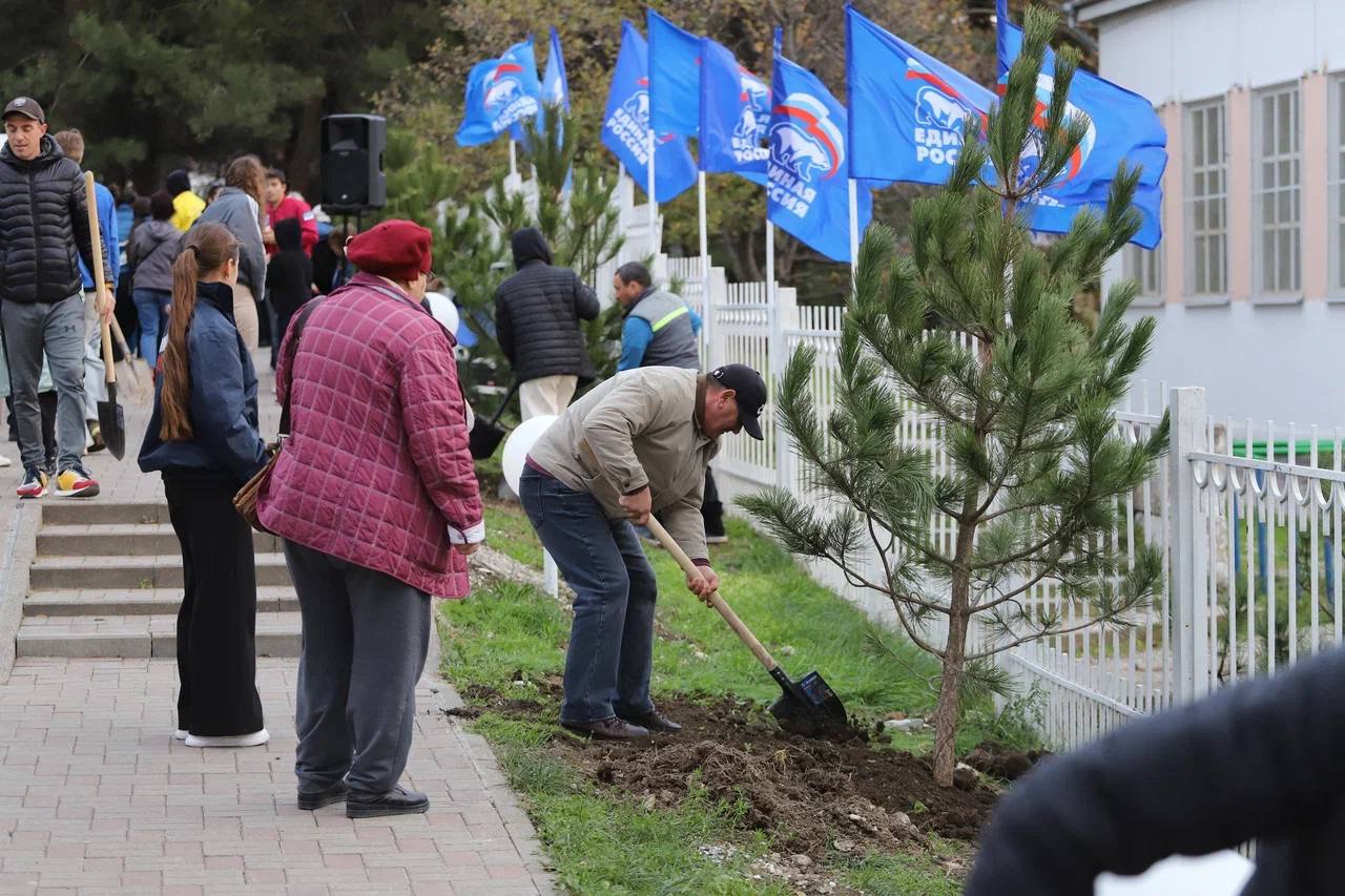 Алексей Богодистов: Сегодня в Геленджике стартовал проект «Дерево нашей семьи» Алексей Богодистов: Сегодня в Геленджике стартовал проект «Дерево нашей семьи»