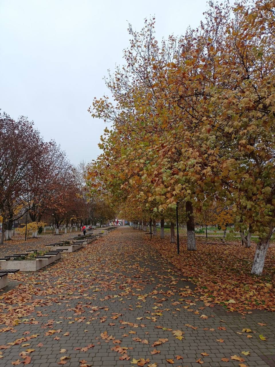 О погоде на 14 ноября. В Краснодарском крае облачно с прояснениями О погоде на 14 ноября. В Краснодарском крае облачно с прояснениями