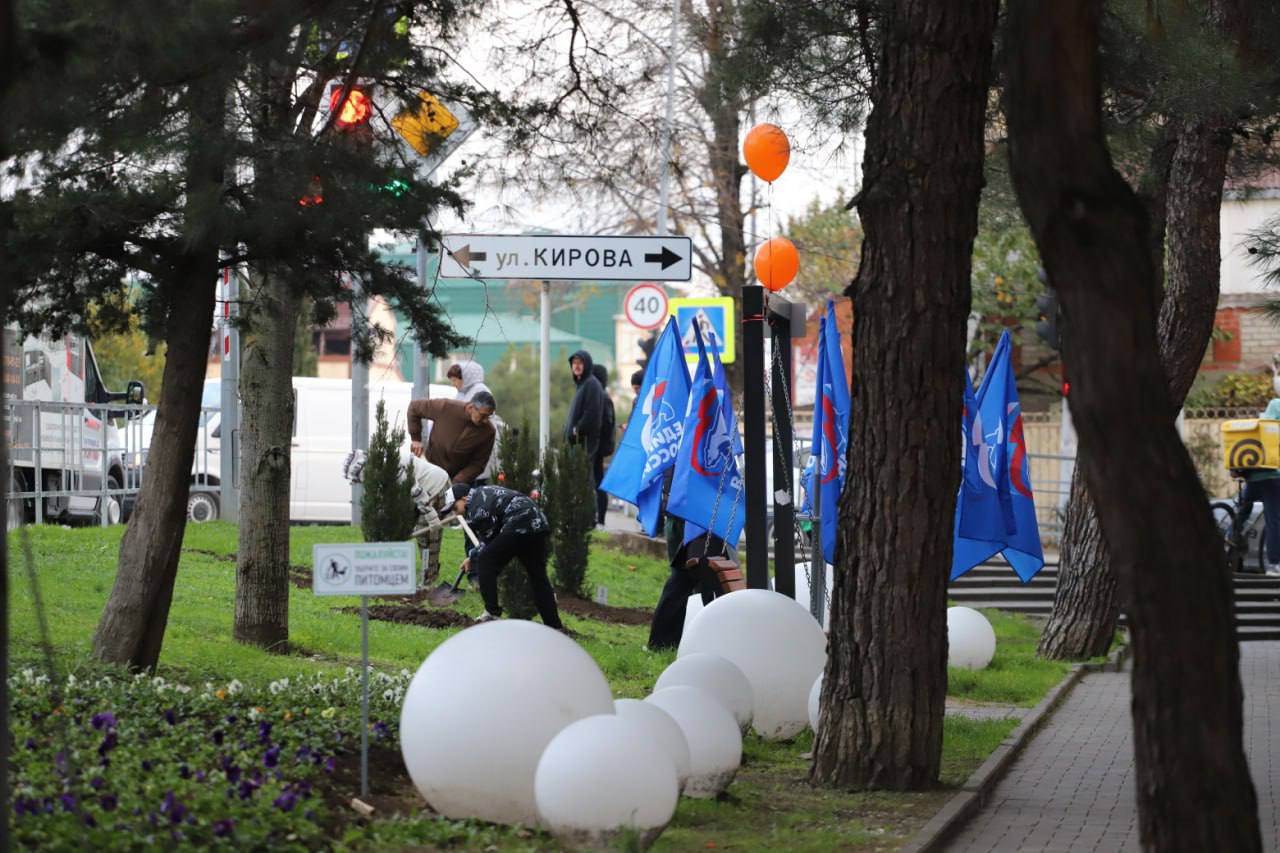 Алексей Богодистов: Сегодня в Геленджике стартовал проект «Дерево нашей семьи» Алексей Богодистов: Сегодня в Геленджике стартовал проект «Дерево нашей семьи»