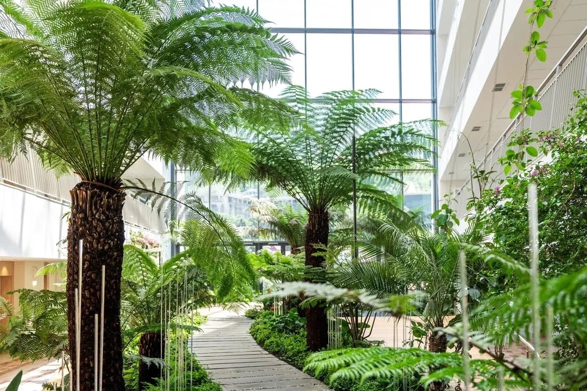 Вениамин Кондратьев: В Сочи к открытию готовится первая здравница, которую построили на курорте за последние 25 лет Вениамин Кондратьев: В Сочи к открытию готовится первая здравница, которую построили на курорте за последние 25 лет