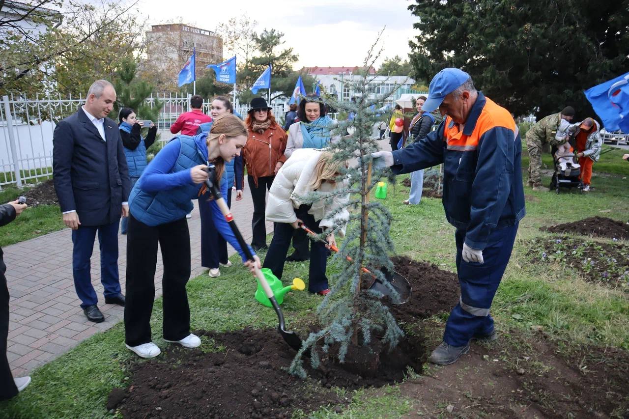 Алексей Богодистов: Сегодня в Геленджике стартовал проект «Дерево нашей семьи» Алексей Богодистов: Сегодня в Геленджике стартовал проект «Дерево нашей семьи»