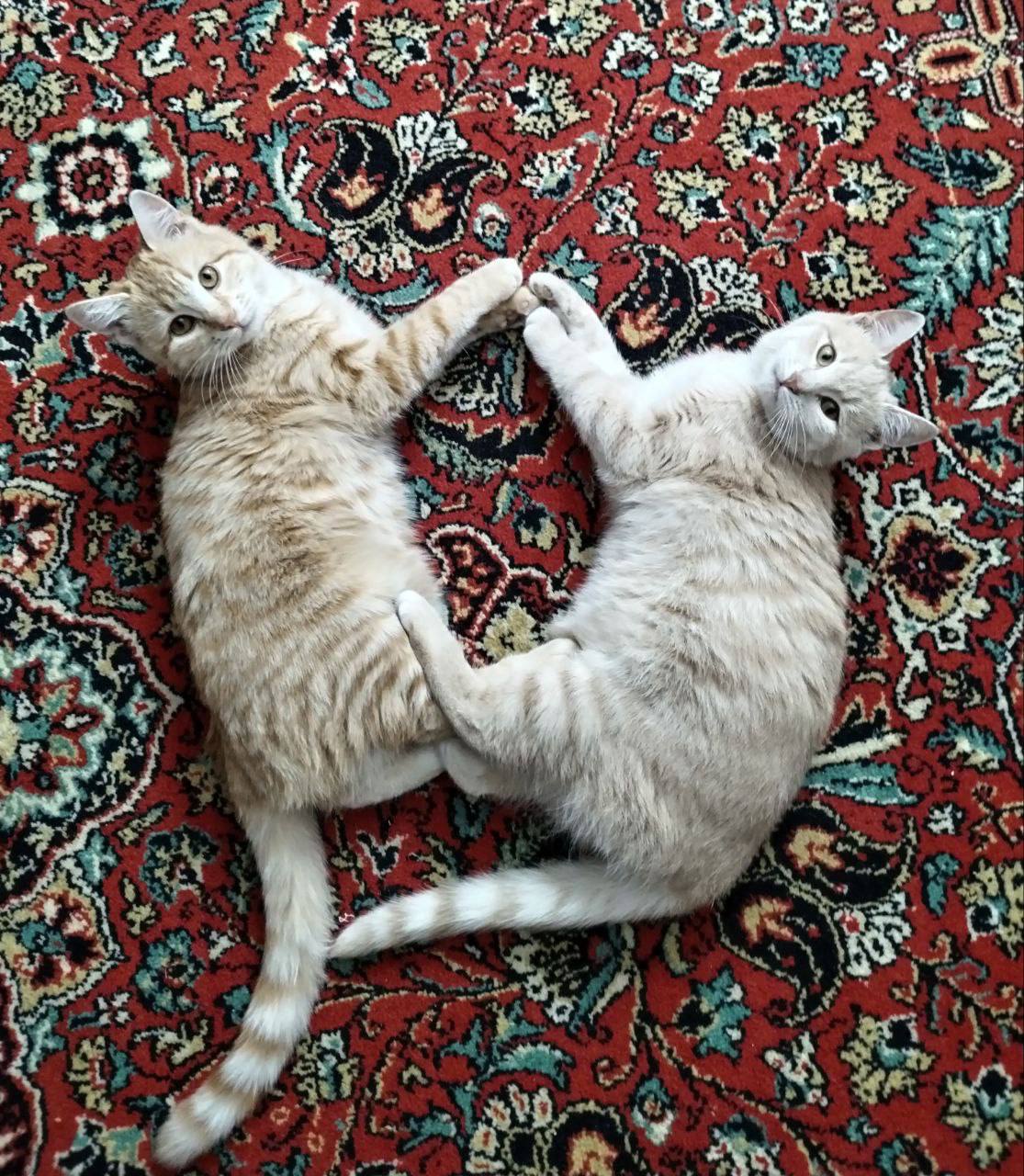 О погоде на 14 ноября. В Краснодарском крае облачно с прояснениями О погоде на 14 ноября. В Краснодарском крае облачно с прояснениями