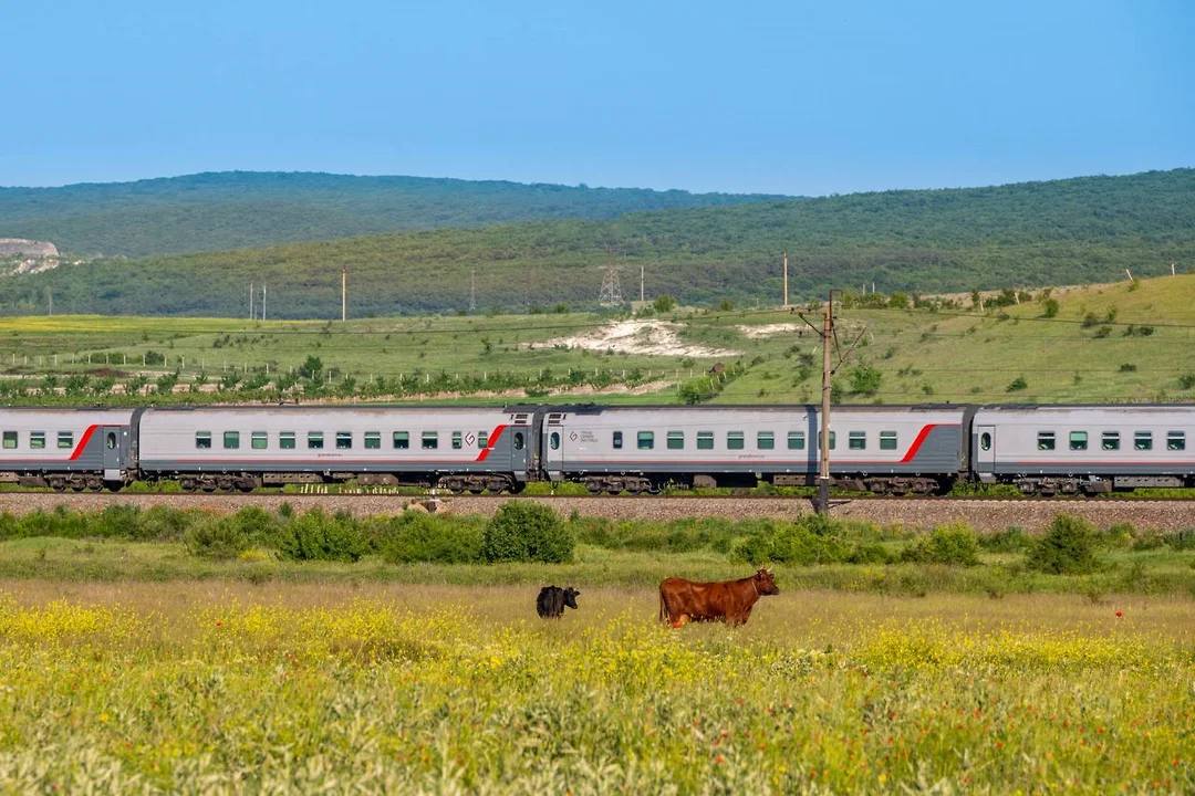 12 поездов, следующих в Крым и из него, задерживаются