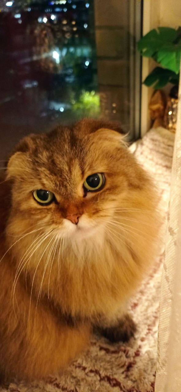 О погоде на 14 ноября. В Краснодарском крае облачно с прояснениями О погоде на 14 ноября. В Краснодарском крае облачно с прояснениями