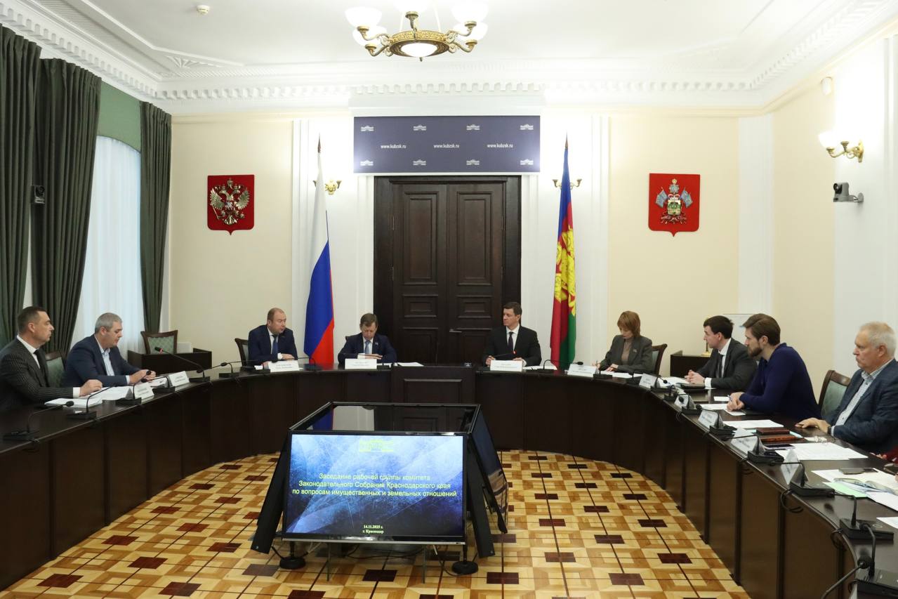 Зампредседателя краевого парламента Сергей Болдин провел заседание рабочей группы комитета по вопросам имущественных и земельных отношений