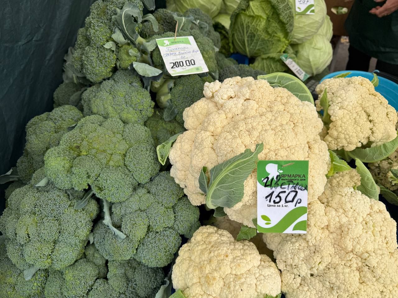 Свежие продукты ждут краснодарцев на ярмарках выходного дня в Краснодаре