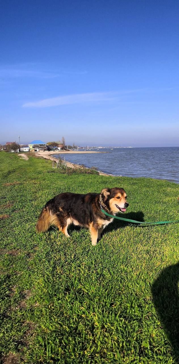 О погоде на 15 ноября. В Краснодарском крае облачно с прояснениями О погоде на 15 ноября. В Краснодарском крае облачно с прояснениями