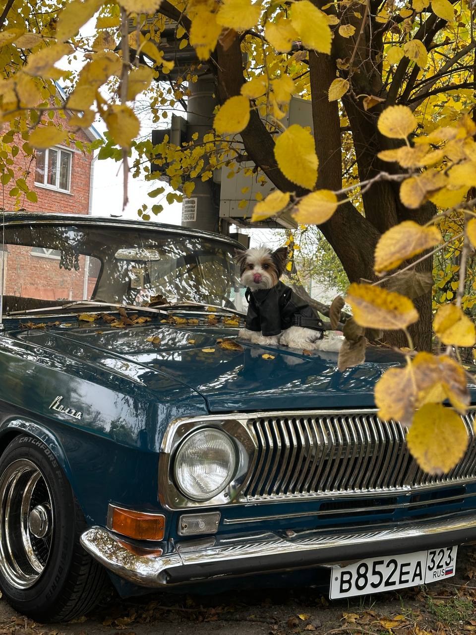 Доброе утро, Краснодарский край! Погода 15 ноября будет такой: Доброе утро, Краснодарский край! Погода 15 ноября будет такой: