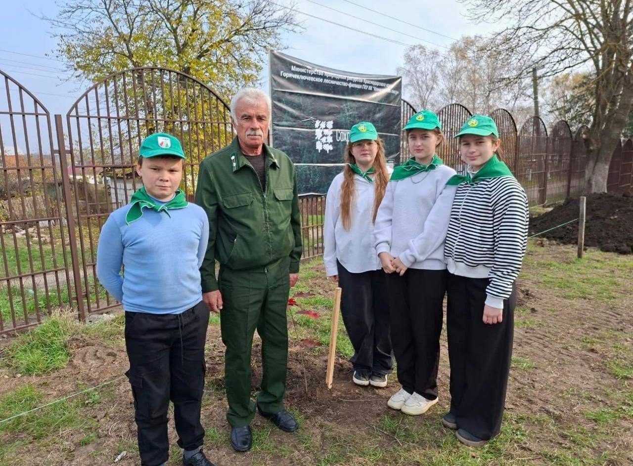 Более 8 тысяч деревьев высадили на Кубани в рамках акции «Сохраним лес» Более 8 тысяч деревьев высадили на Кубани в рамках акции «Сохраним лес»