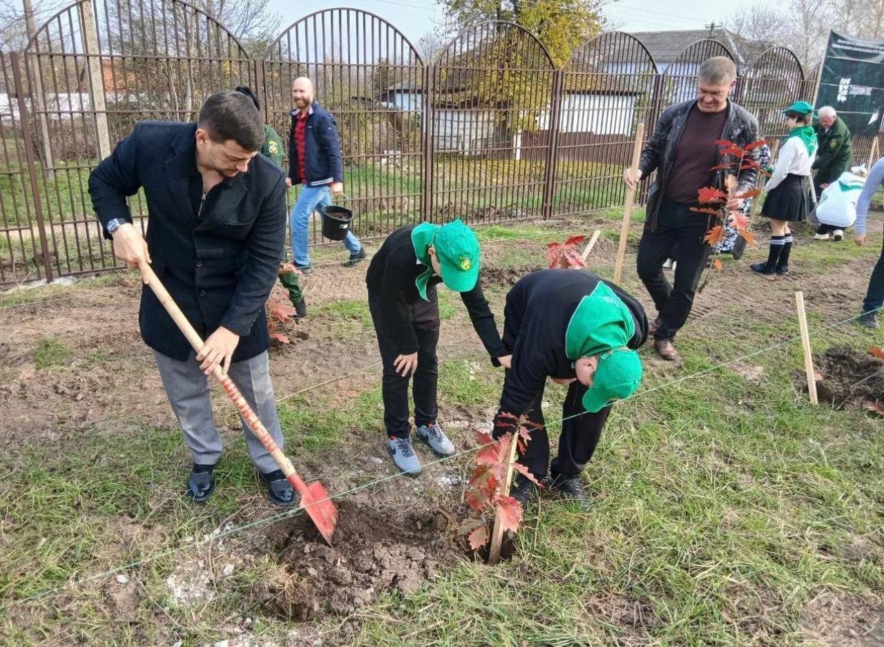 Более 8 тысяч деревьев высадили на Кубани в рамках акции «Сохраним лес» Более 8 тысяч деревьев высадили на Кубани в рамках акции «Сохраним лес»