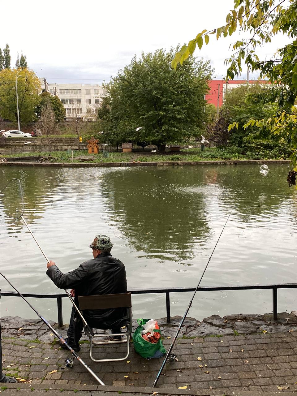 Погода в Краснодаре в середине ноября