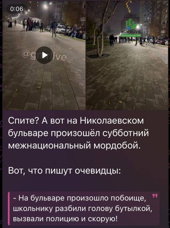 По факту драки на Николаевском бульваре проводится проверка