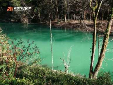 Тисо-самшитовая роща Кавказского биосферного заповедника – одна из визитных карточек туристического Сочи, известная еще с 1931 года