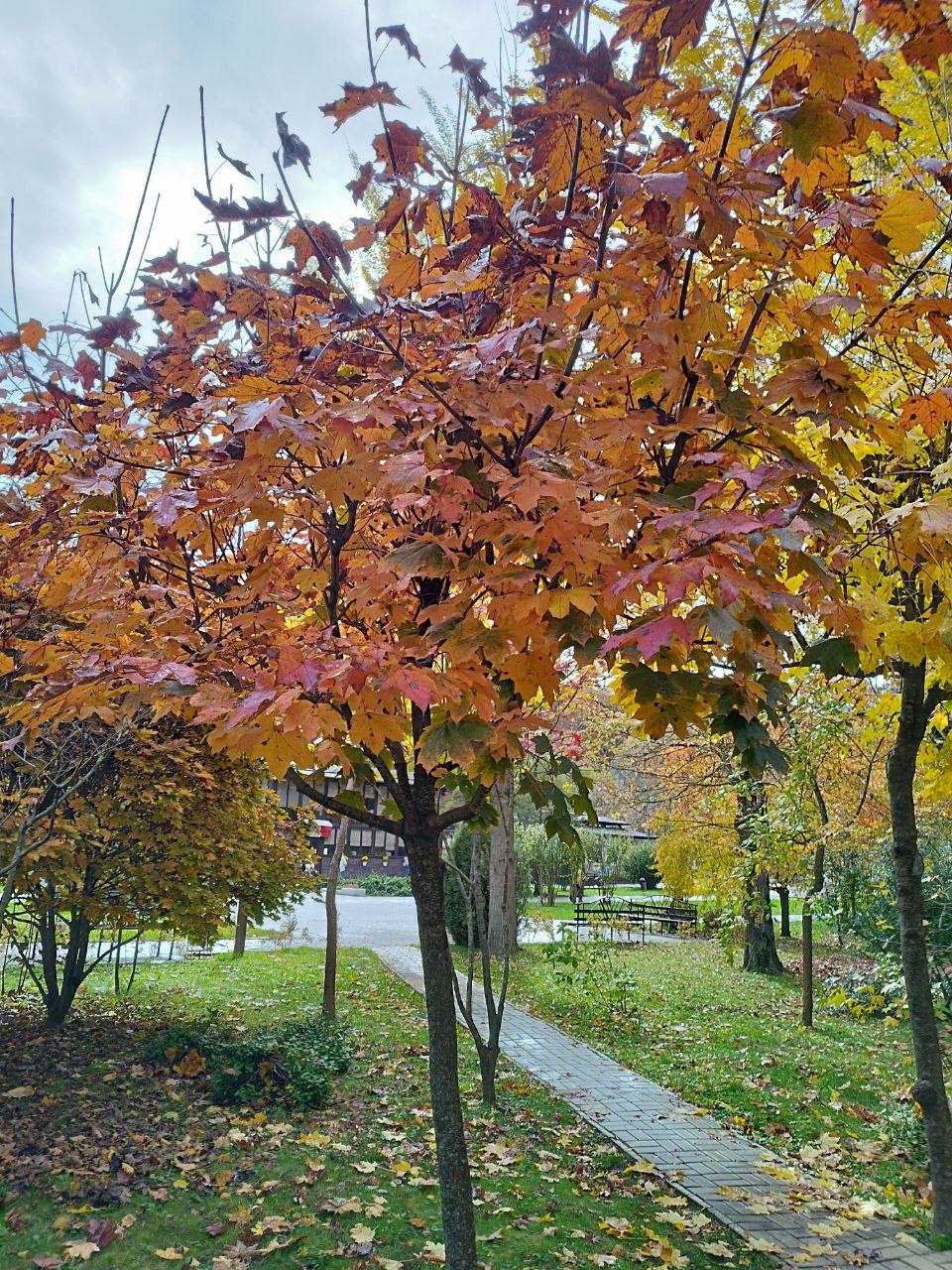 О погоде на 15 ноября. В Краснодарском крае облачно с прояснениями О погоде на 15 ноября. В Краснодарском крае облачно с прояснениями