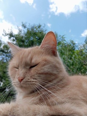 О погоде на 15 ноября. В Краснодарском крае облачно с прояснениями