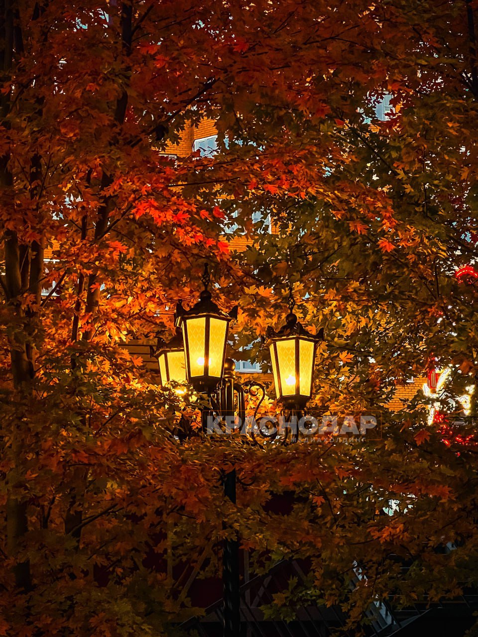 Голосуем за лучший «Краснокадр» Голосуем за лучший «Краснокадр»