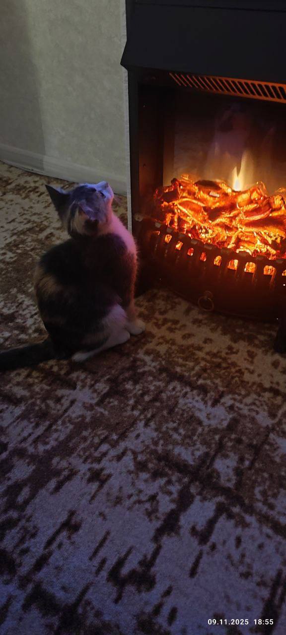 О погоде на 15 ноября. В Краснодарском крае облачно с прояснениями О погоде на 15 ноября. В Краснодарском крае облачно с прояснениями