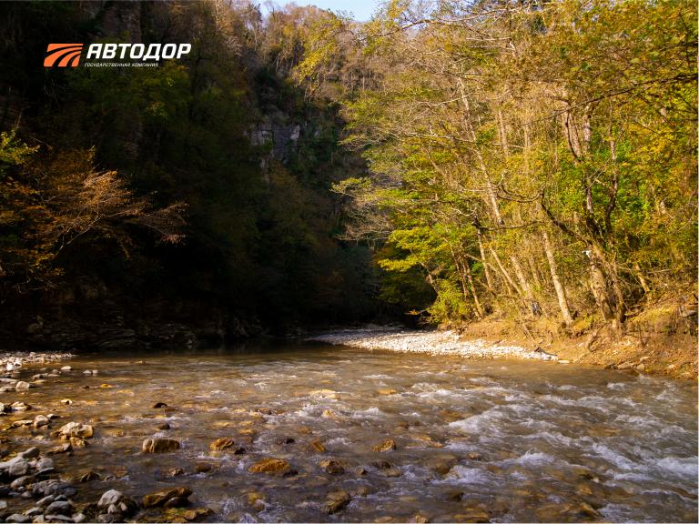 Тисо-самшитовая роща Кавказского биосферного заповедника – одна из визитных карточек туристического Сочи, известная еще с 1931 года Тисо-самшитовая роща Кавказского биосферного заповедника – одна из визитных карточек туристического Сочи, известная еще с 1931 года