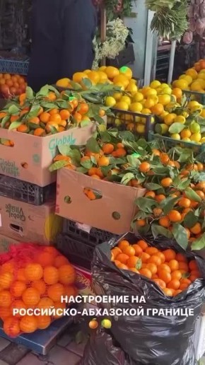 Мандариновое настроение. Запах и вкус приближающегося праздника Автор, найдись! Новости Сочи 24 | Мы в MAX