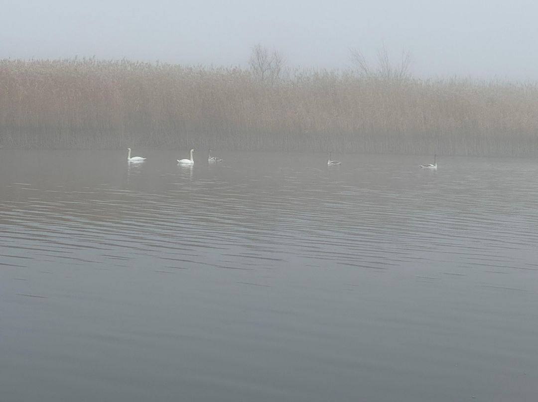 О погоде на 15 ноября. В Краснодарском крае облачно с прояснениями О погоде на 15 ноября. В Краснодарском крае облачно с прояснениями