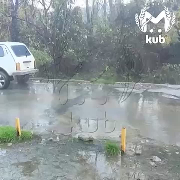 Фекальные реки. Уже почти три месяца дурно пахнущие нечистоты заливают дома в Новороссийске