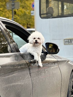 Голосуем за лучший «Краснокадр»
