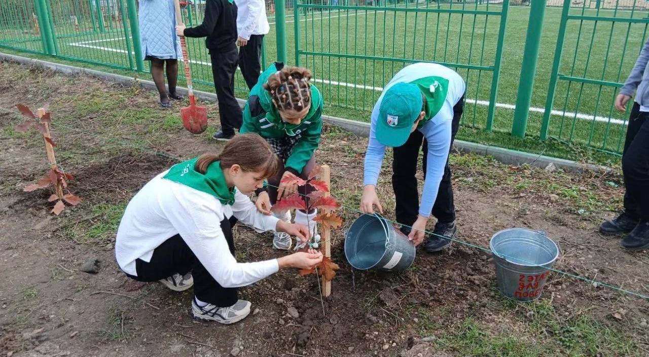Более 8 тысяч деревьев высадили на Кубани в рамках акции «Сохраним лес»