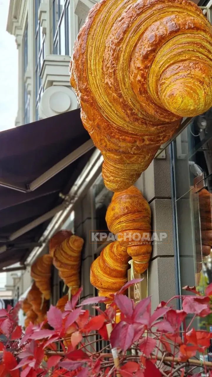 Голосуем за лучший «Краснокадр» Голосуем за лучший «Краснокадр»