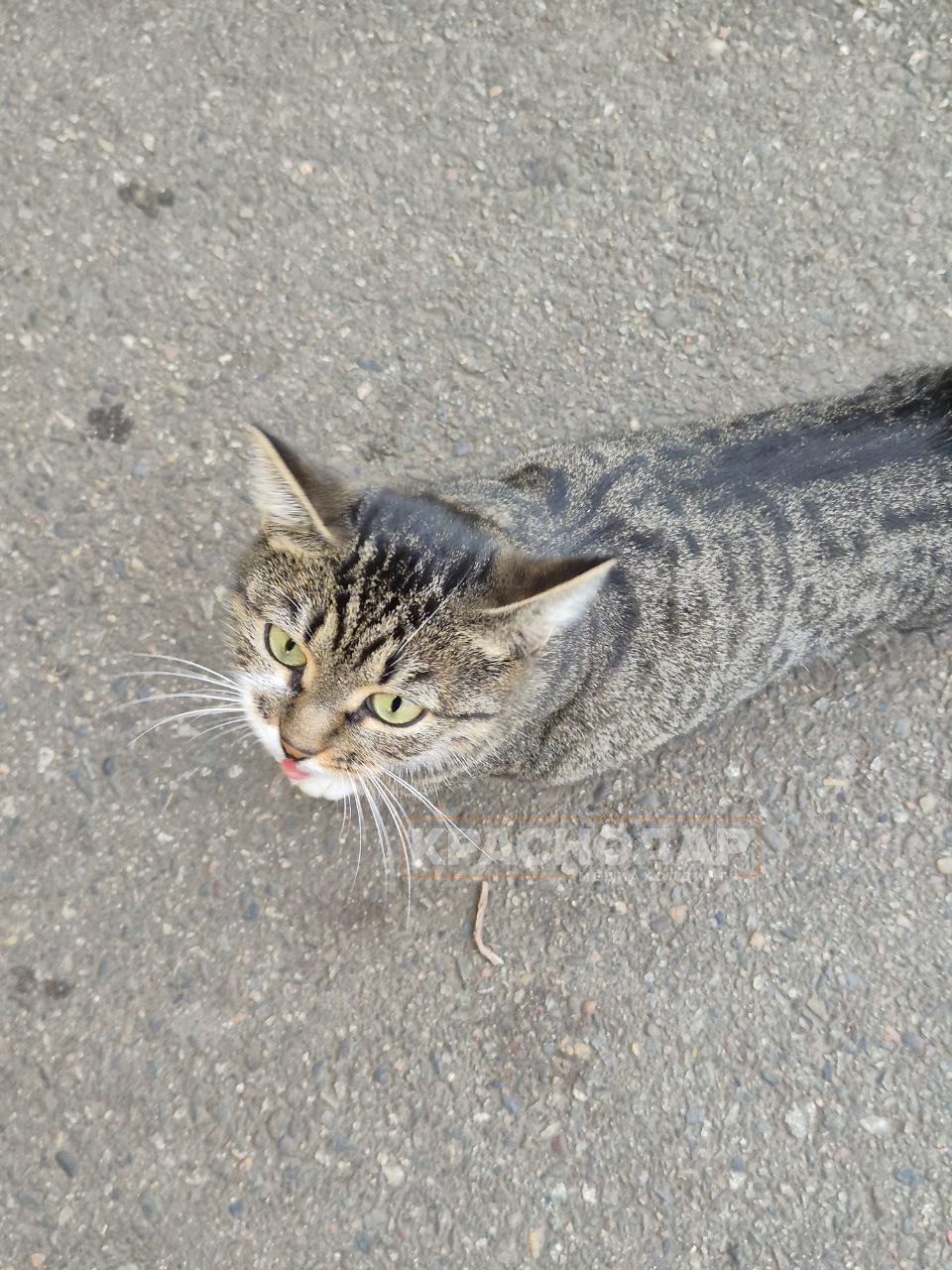 Голосуем за лучший «Краснокадр» Голосуем за лучший «Краснокадр»