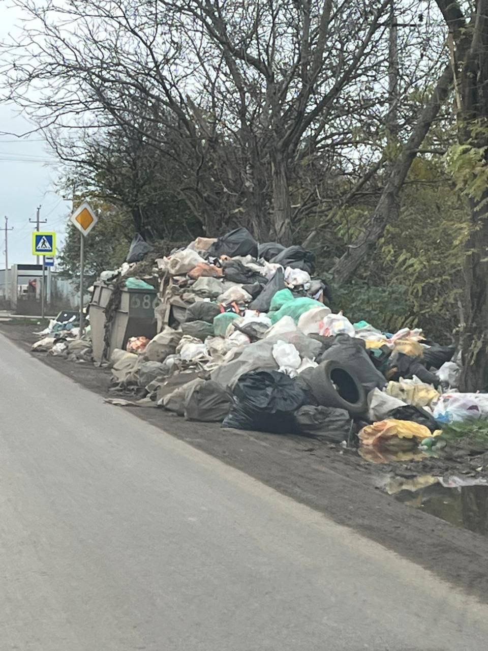 Жители краснодарского поселка Победитель жалуются на мусорный кошмар Жители краснодарского поселка Победитель жалуются на мусорный кошмар