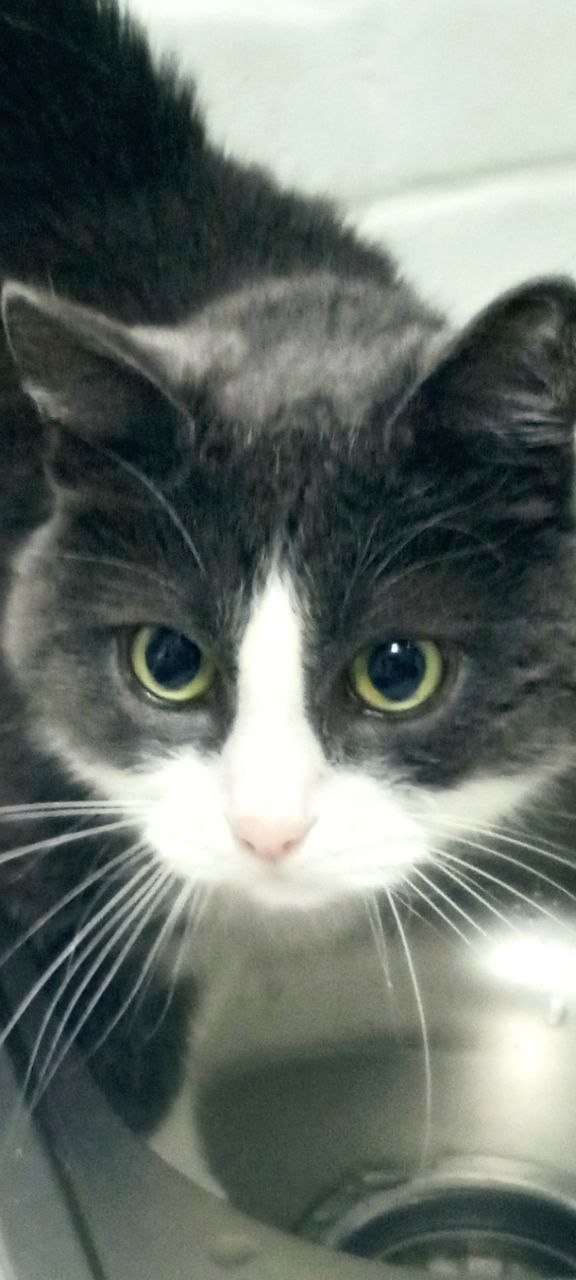 Доброе утро, Кубань!. Краснодар +11 °С Доброе утро, Кубань!. Краснодар +11 °С