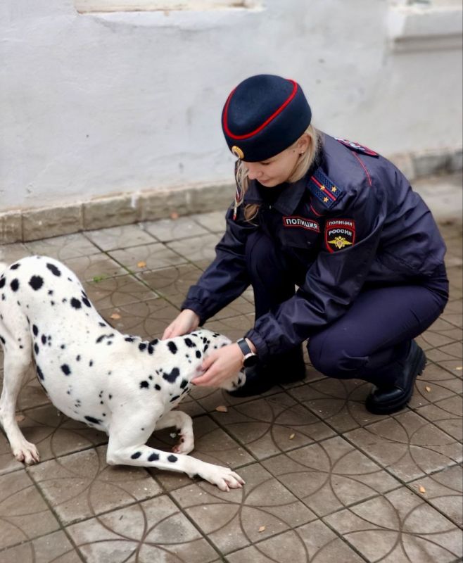 Полицейские вернули далматинца хозяину