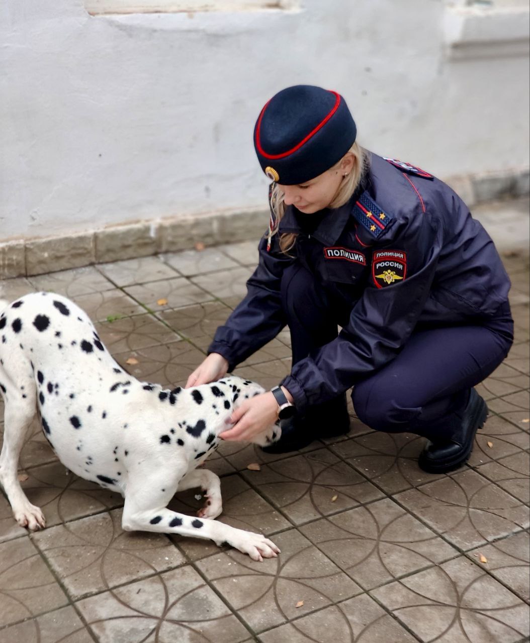 Полицейские вернули далматинца хозяину