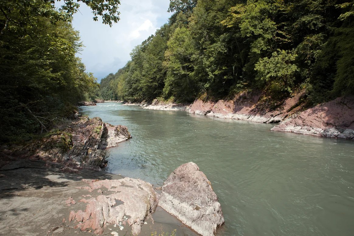 Фирма из Белореченска оспорила взыскание 80 млн рублей за вред реке Белой